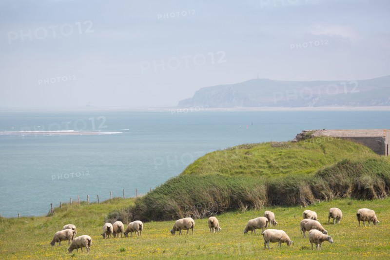 Cap Blanc-Nez (Pas-de-Calais)