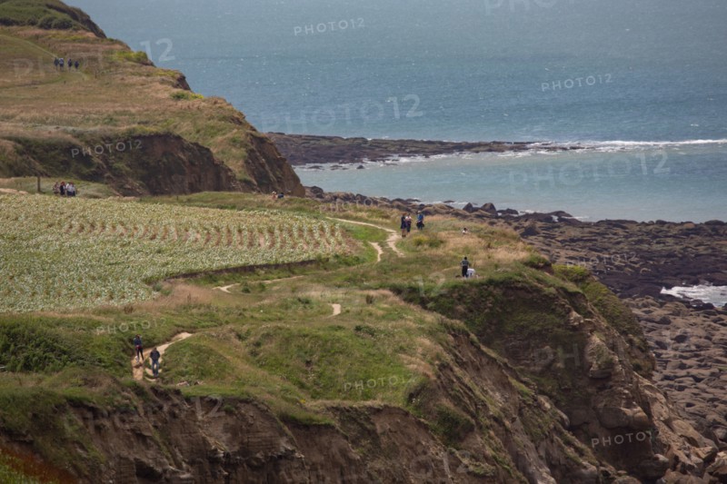 Cap Blanc-Nez (Pas-de-Calais)