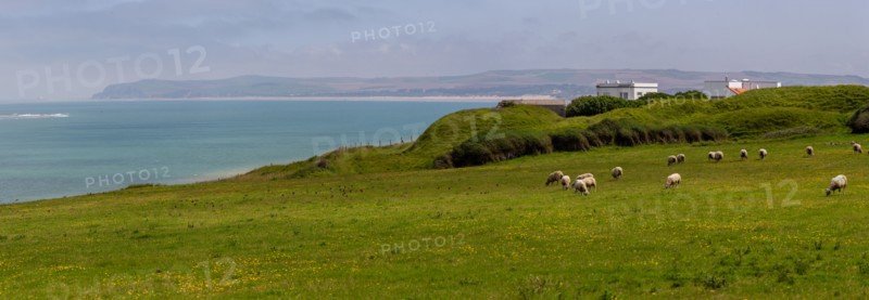Cap Blanc-Nez (Pas-de-Calais)