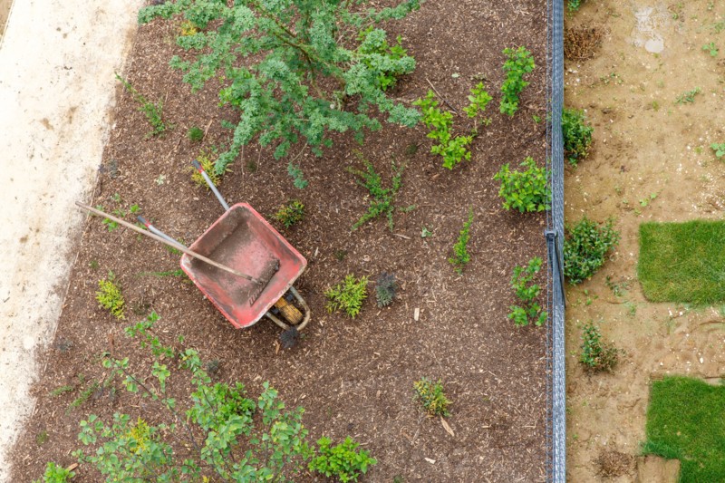 Montigny les Cormeilles, gardening, lawn