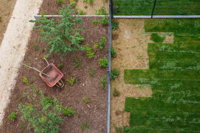 Montigny les Cormeilles, jardinage, pelouse