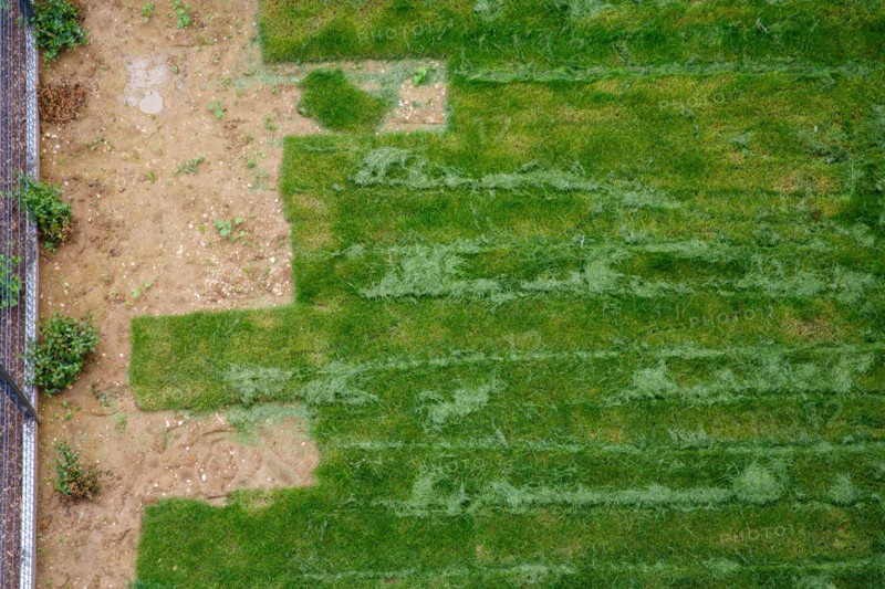 Montigny les Cormeilles, gardening, lawn