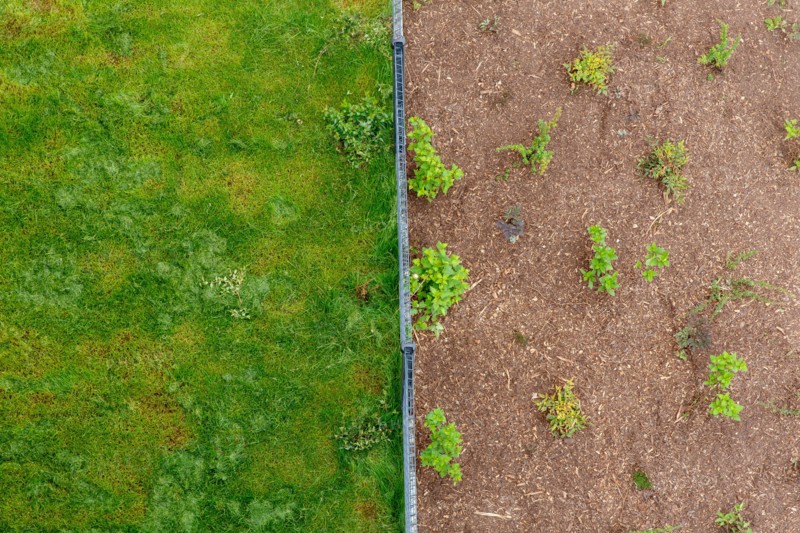 Montigny les Cormeilles, gardening, lawn