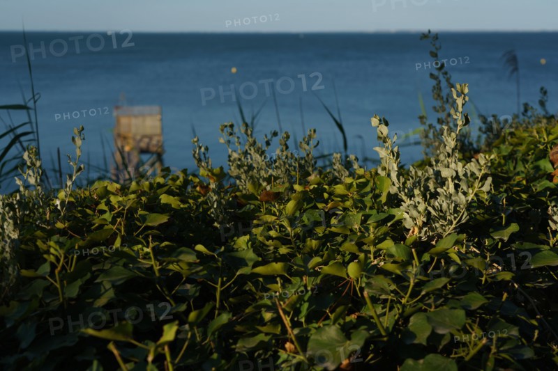 Pornic, Loire-Atlantique