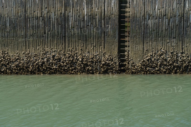 Pornic, Loire-Atlantique