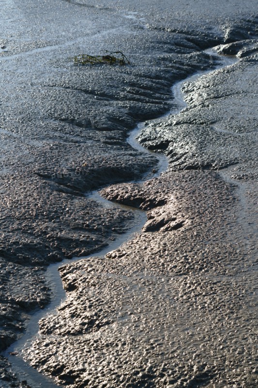 Pornic, Loire-Atlantique