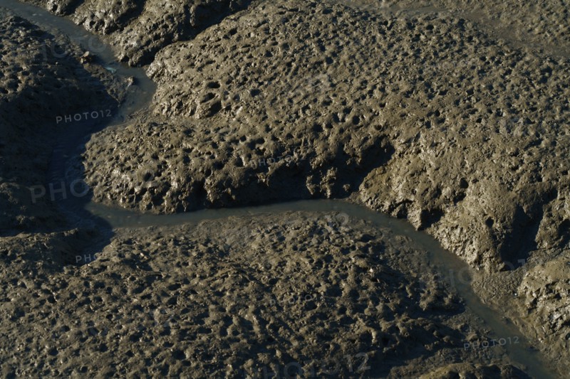 Pornic, Loire-Atlantique