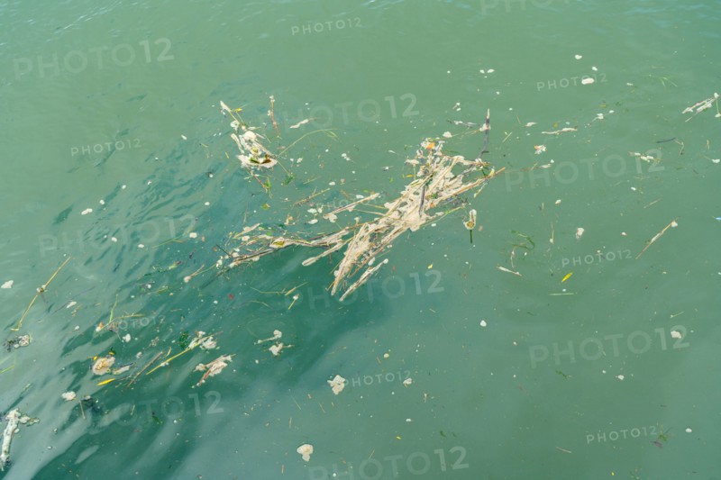 Pollution in Deauville