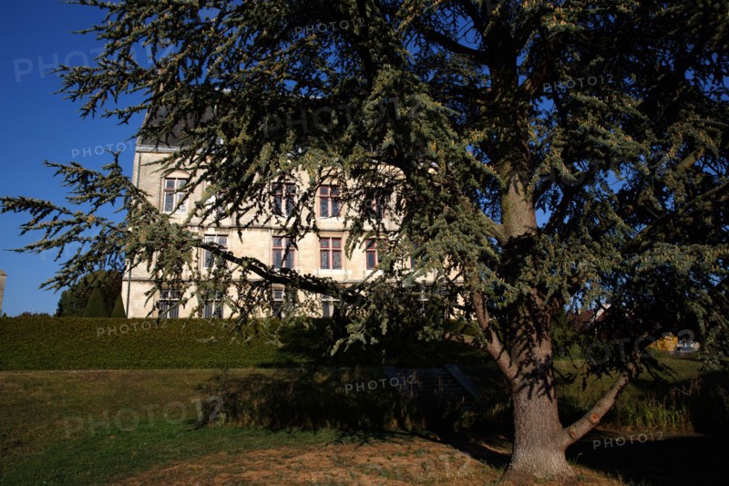 Argentan, Orne