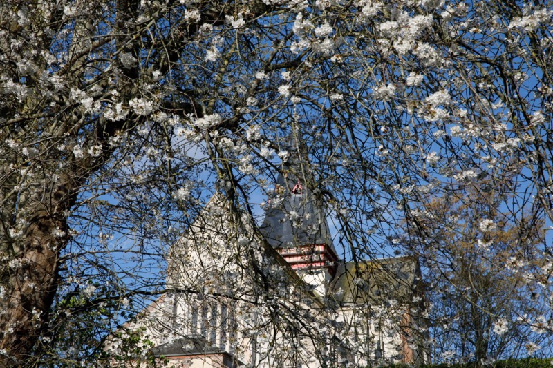 Beaumont-en-Auge, Calvados