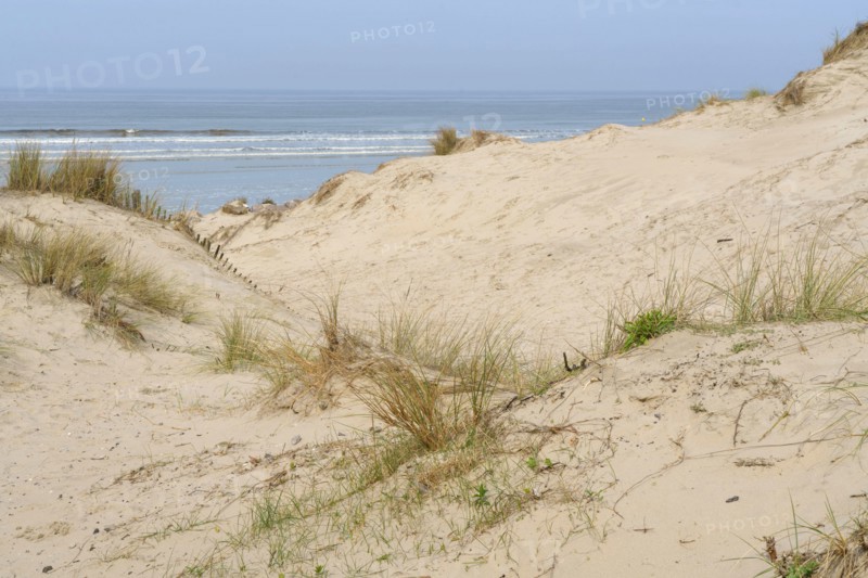 Camiers, Pas-de-Calais