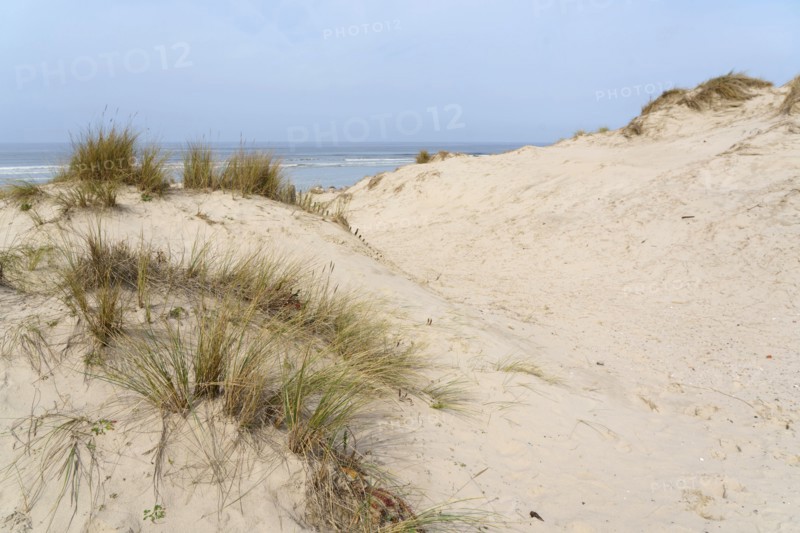 Camiers, Pas-de-Calais