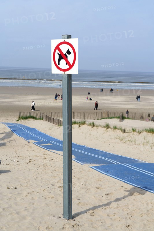 Camiers, Pas-de-Calais