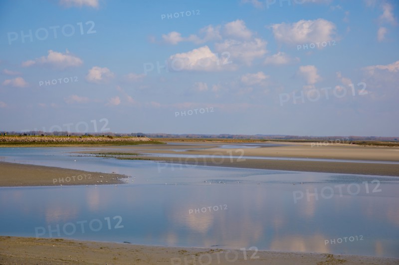 Le Crotoy, Somme