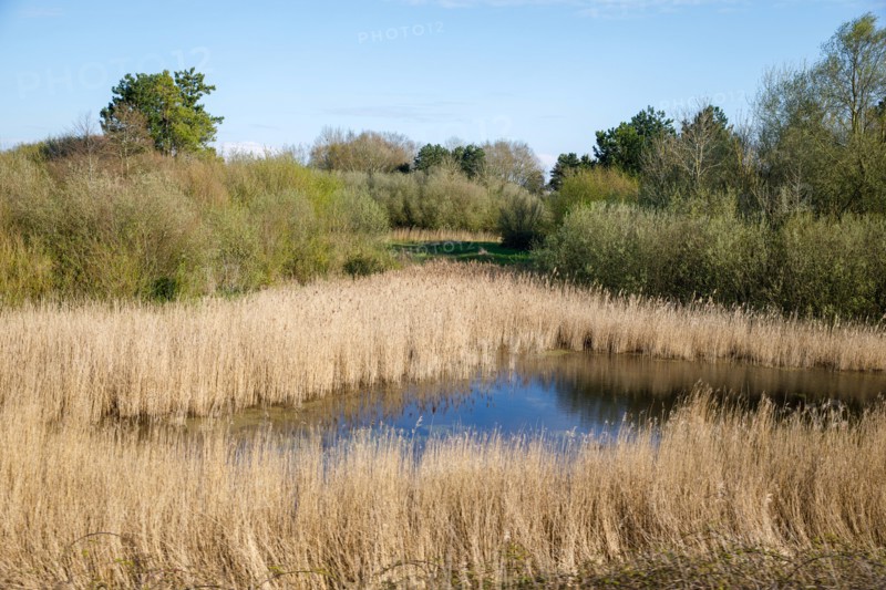 Saint-Valery-sur-Somme, Somme