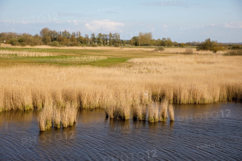 Saint-Valery-sur-Somme, Somme