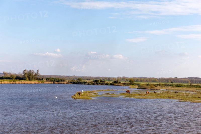 Saint-Valery-sur-Somme, Somme