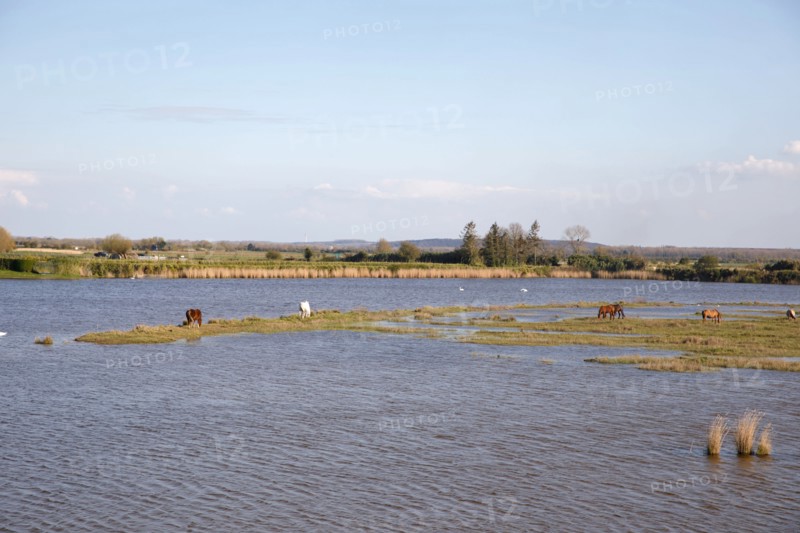Saint-Valery-sur-Somme, Somme