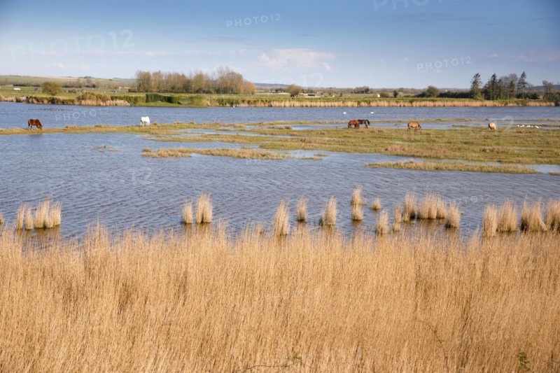 Saint-Valery-sur-Somme, Somme