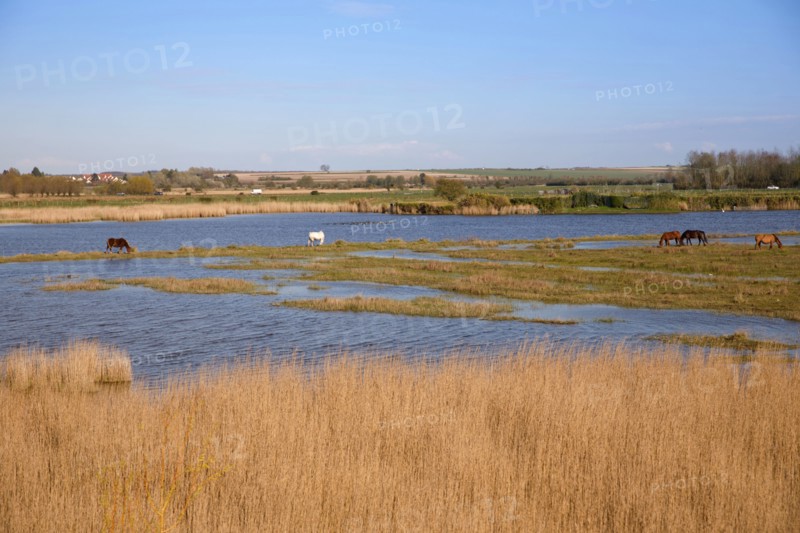 Saint-Valery-sur-Somme, Somme