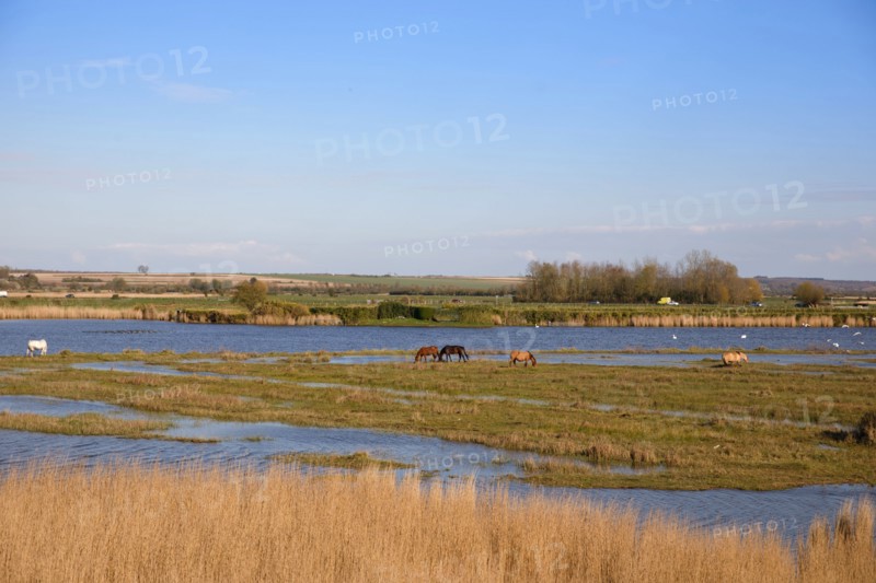 Saint-Valery-sur-Somme, Somme