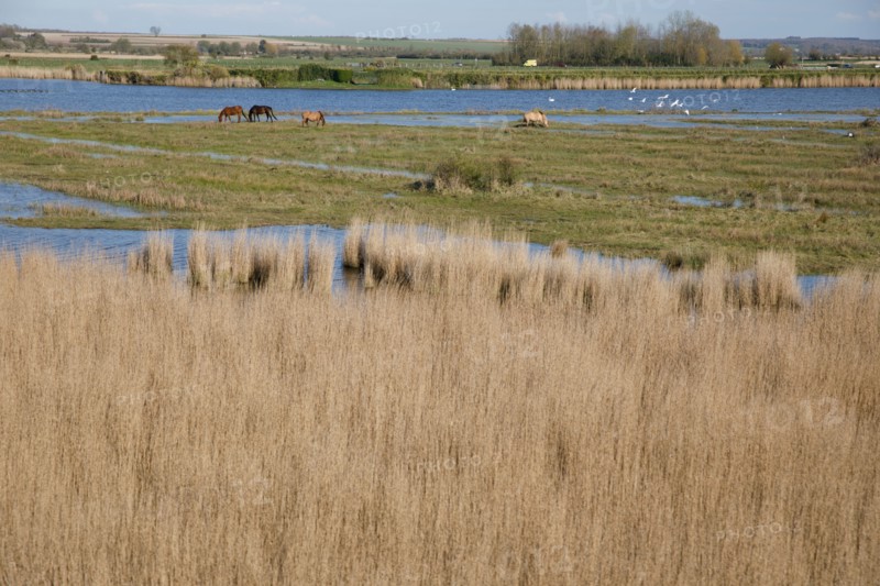 Saint-Valery-sur-Somme, Somme