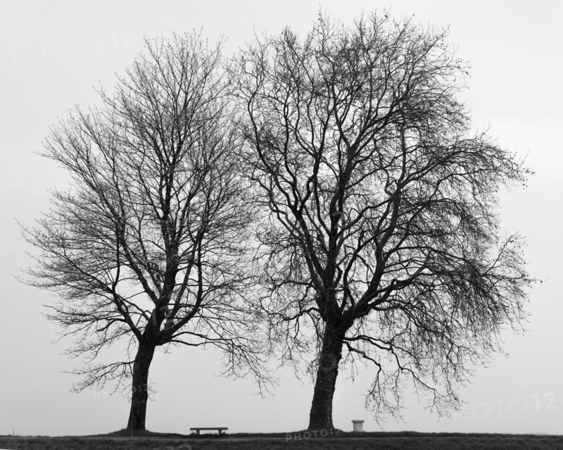 Saint-Valery-sur-Somme, Somme