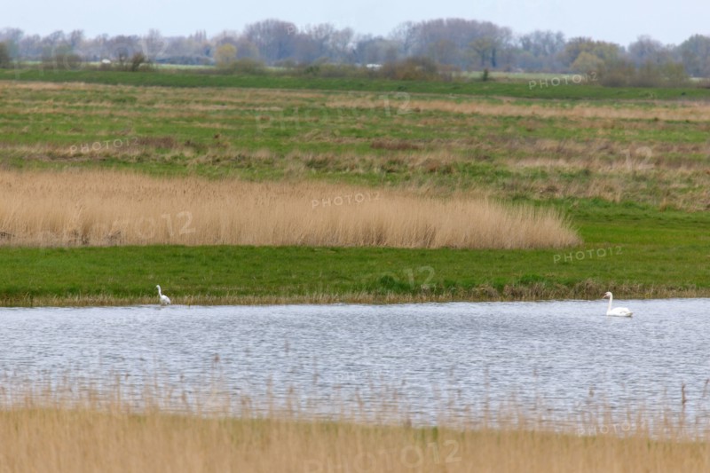 Saint-Valery-sur-Somme, Somme