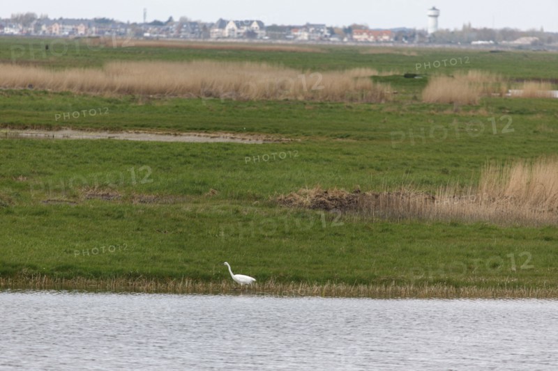 Saint-Valery-sur-Somme, Somme