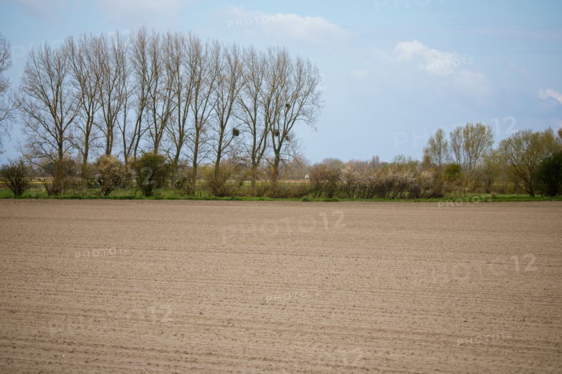 Landscape between Le Crotoy and Saint-Valery-sur-Somme