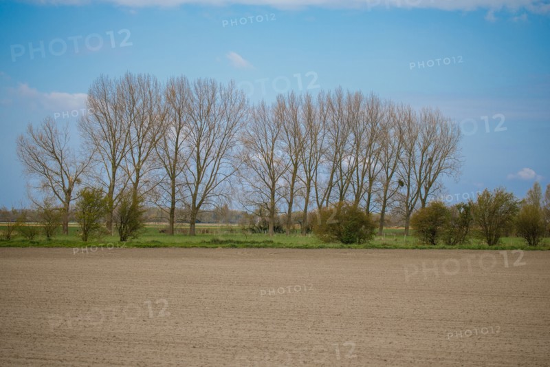 Landscape between Le Crotoy and Saint-Valery-sur-Somme