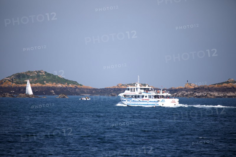 Iles Chausey, Manche