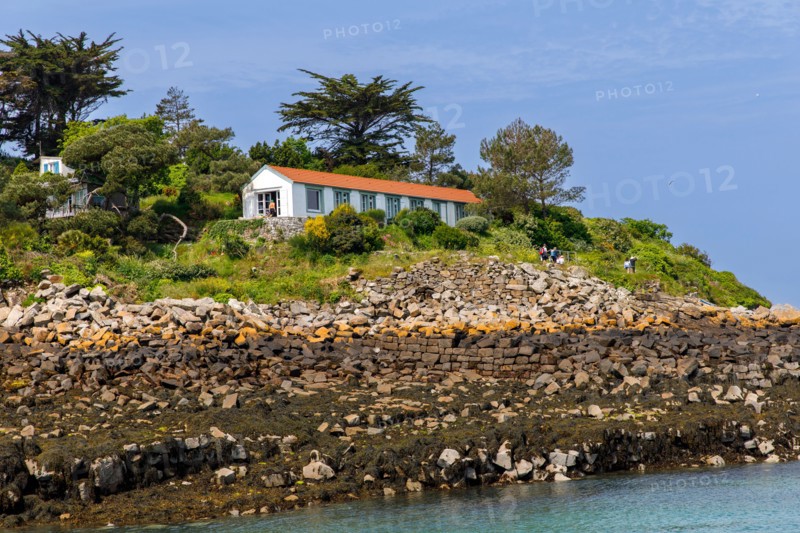 Iles Chausey, Manche