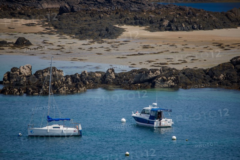 Iles Chausey, Manche