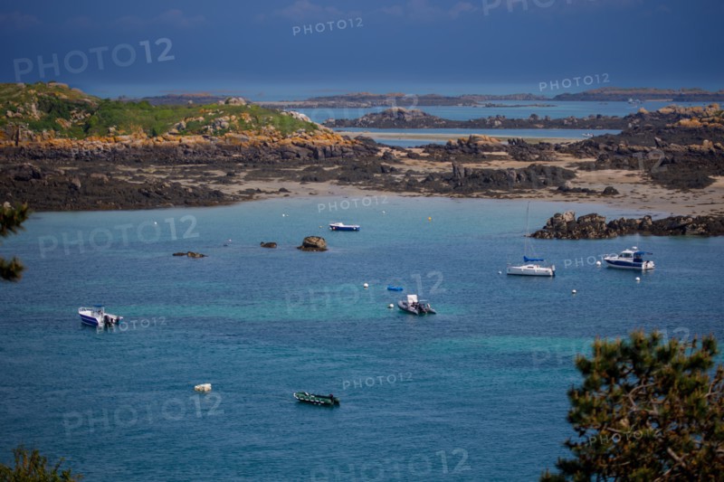Iles Chausey, Manche