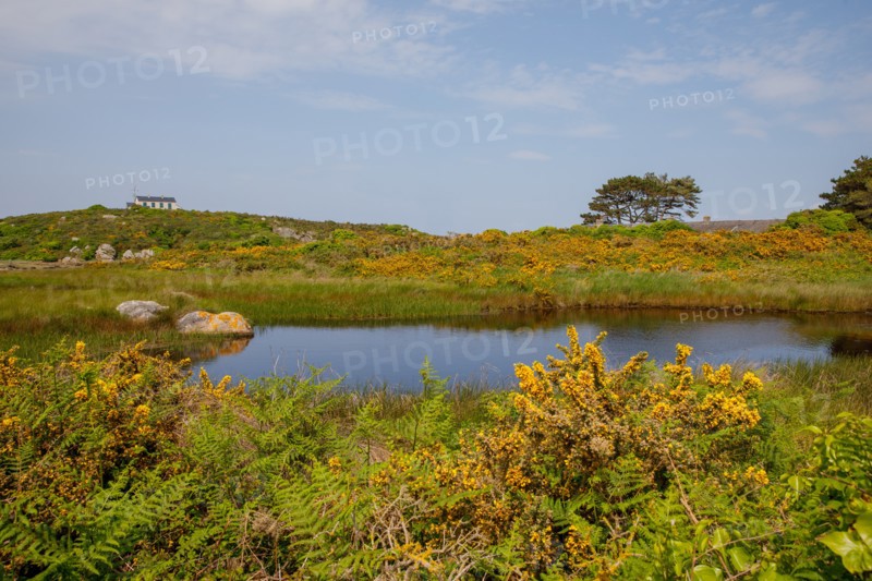 Iles Chausey, Manche