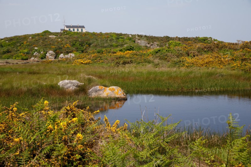 Iles Chausey, Manche