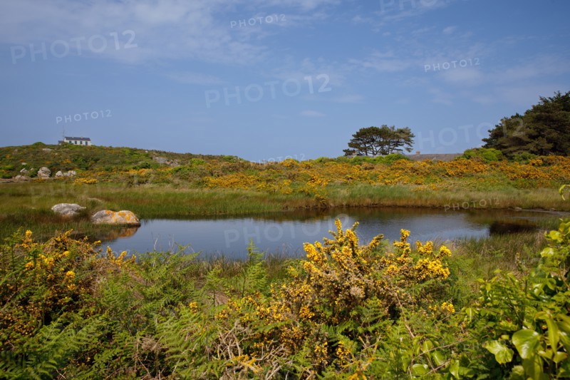 Chausey, Manche