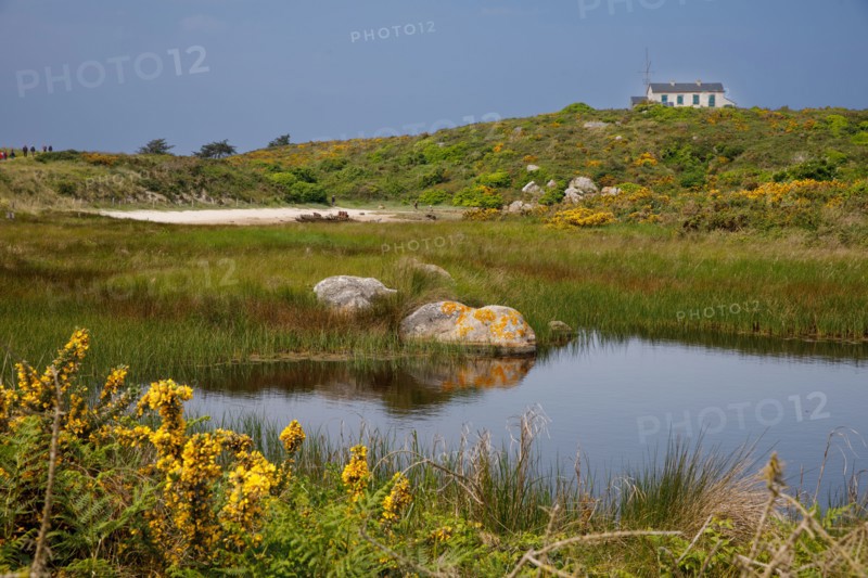 Iles Chausey, Manche