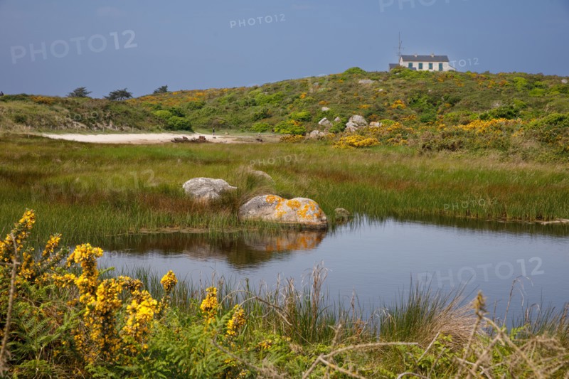 Iles Chausey, Manche