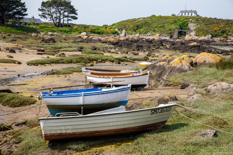 Iles Chausey, Manche