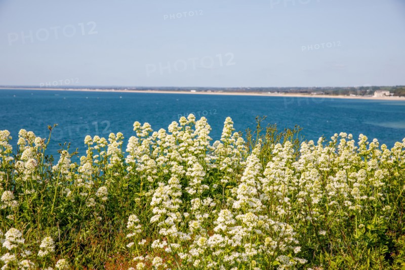 Granville, Manche