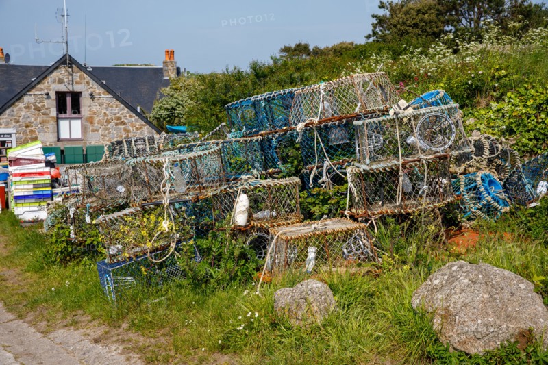 Iles Chausey, Manche