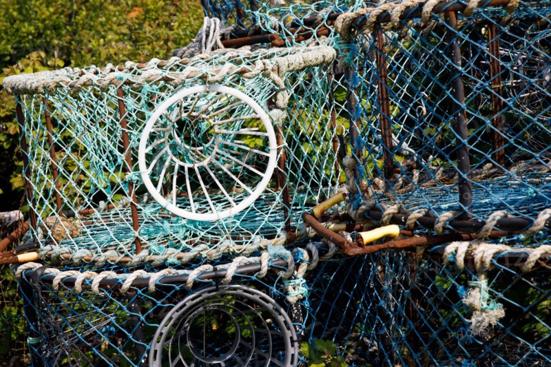 Chausey, Manche