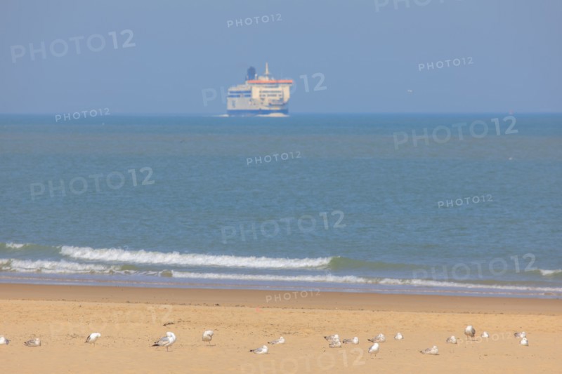 Calais, Pas de Calais