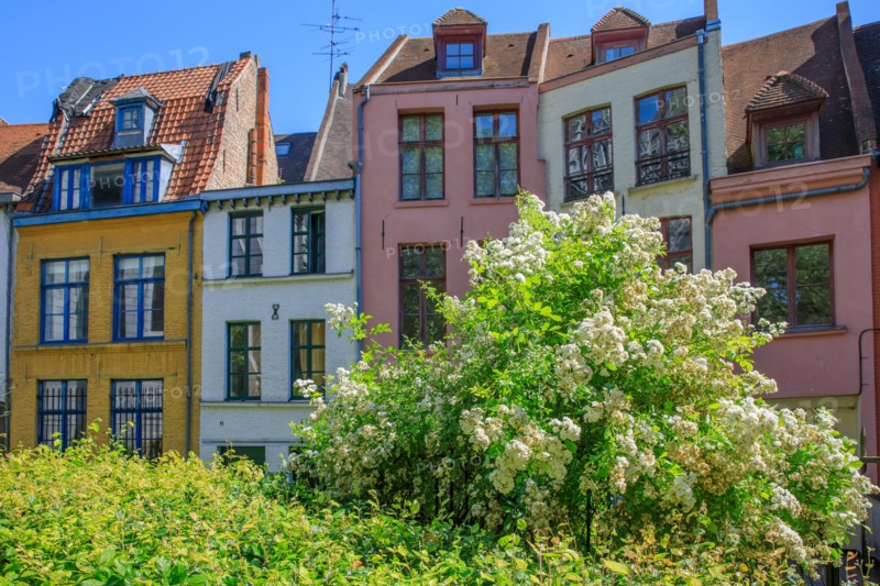Lille, Nord department