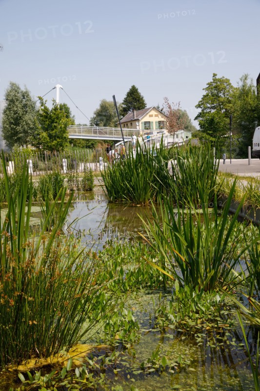 Amiens, Somme