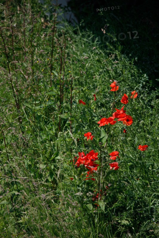 Amiens, Somme department