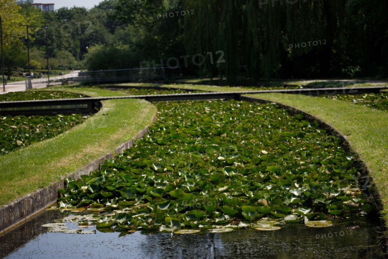 Amiens, Somme