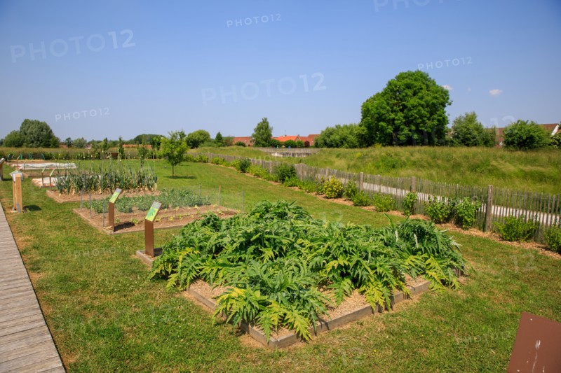 Saint-Omer, Hauts-de-France